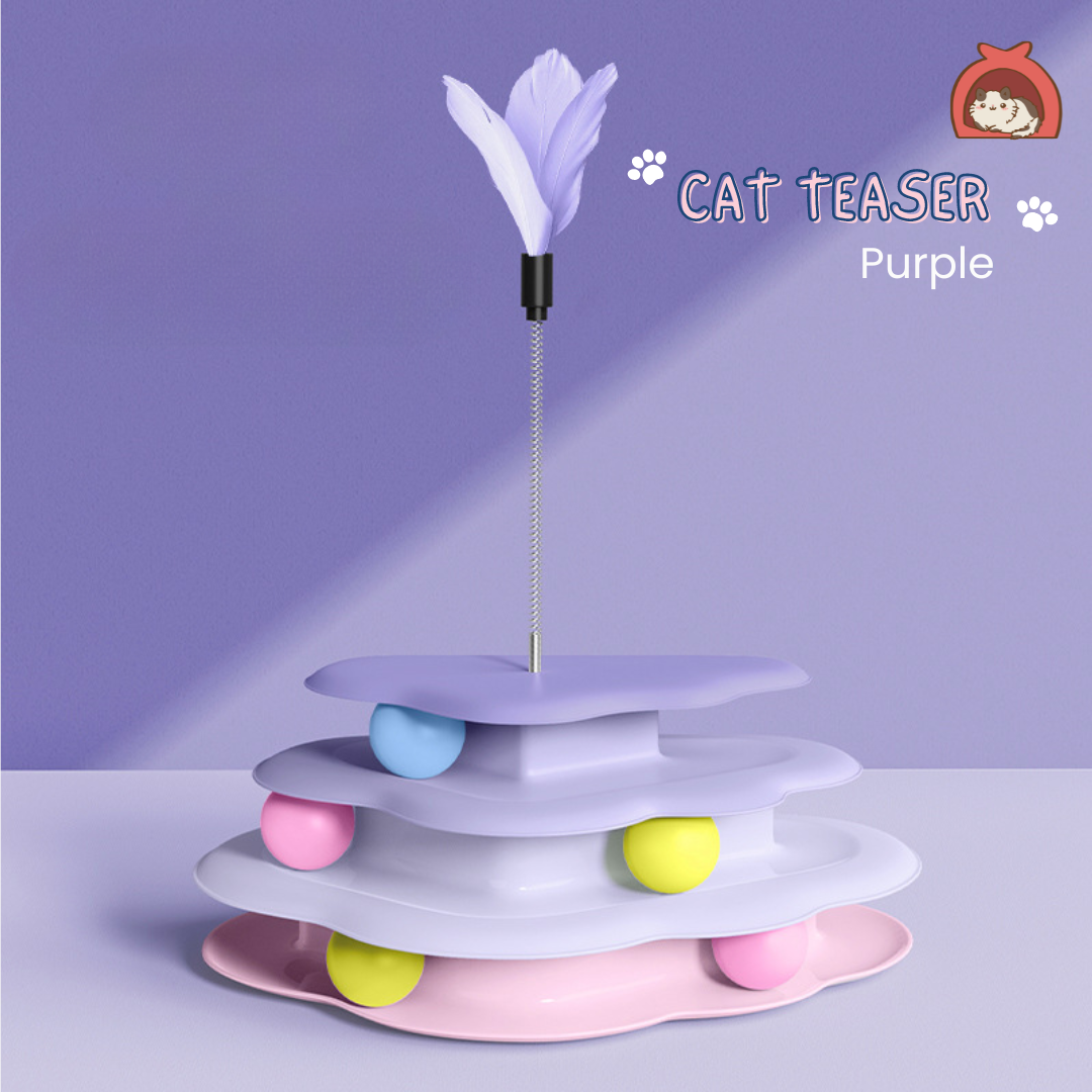 Cat Teaser Cloud Toy