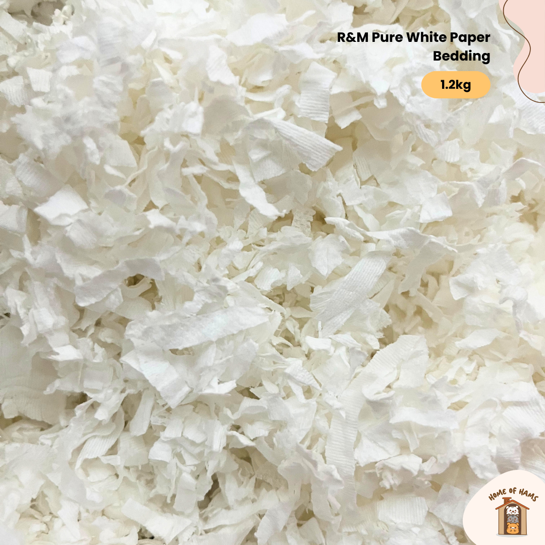 R&M Pure White Paper Bedding