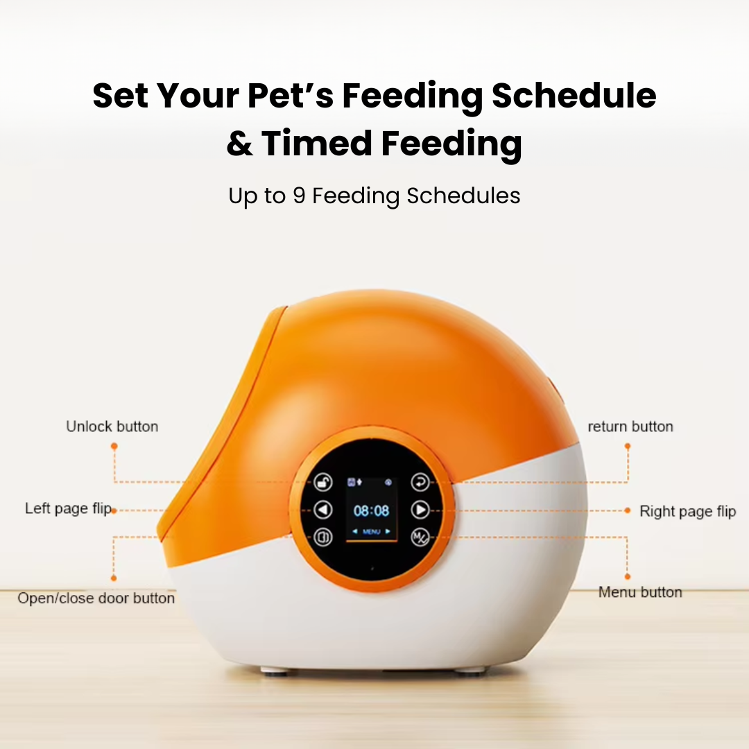 RFID Pet Feeder for Cats