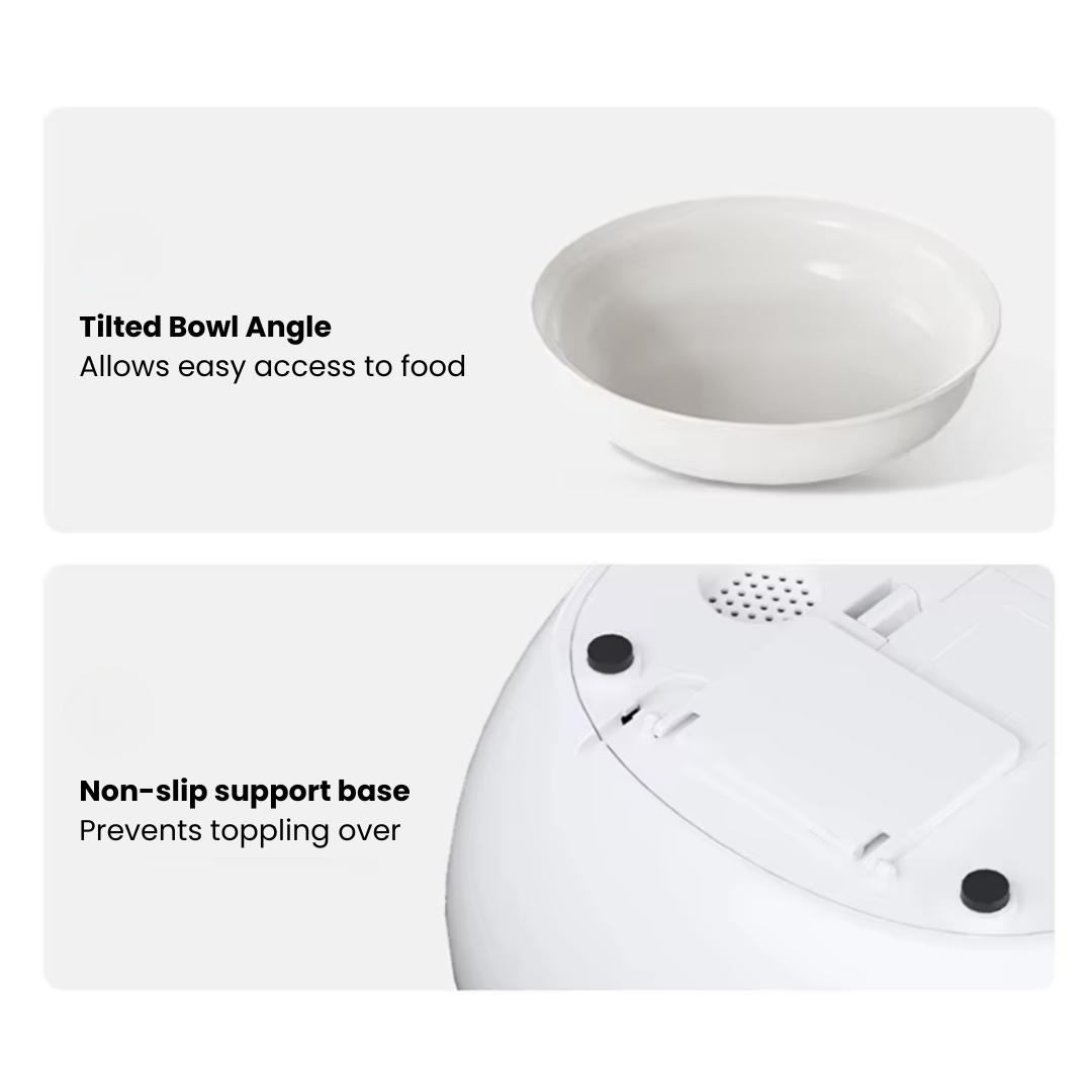 RFID Pet Feeder for Cats