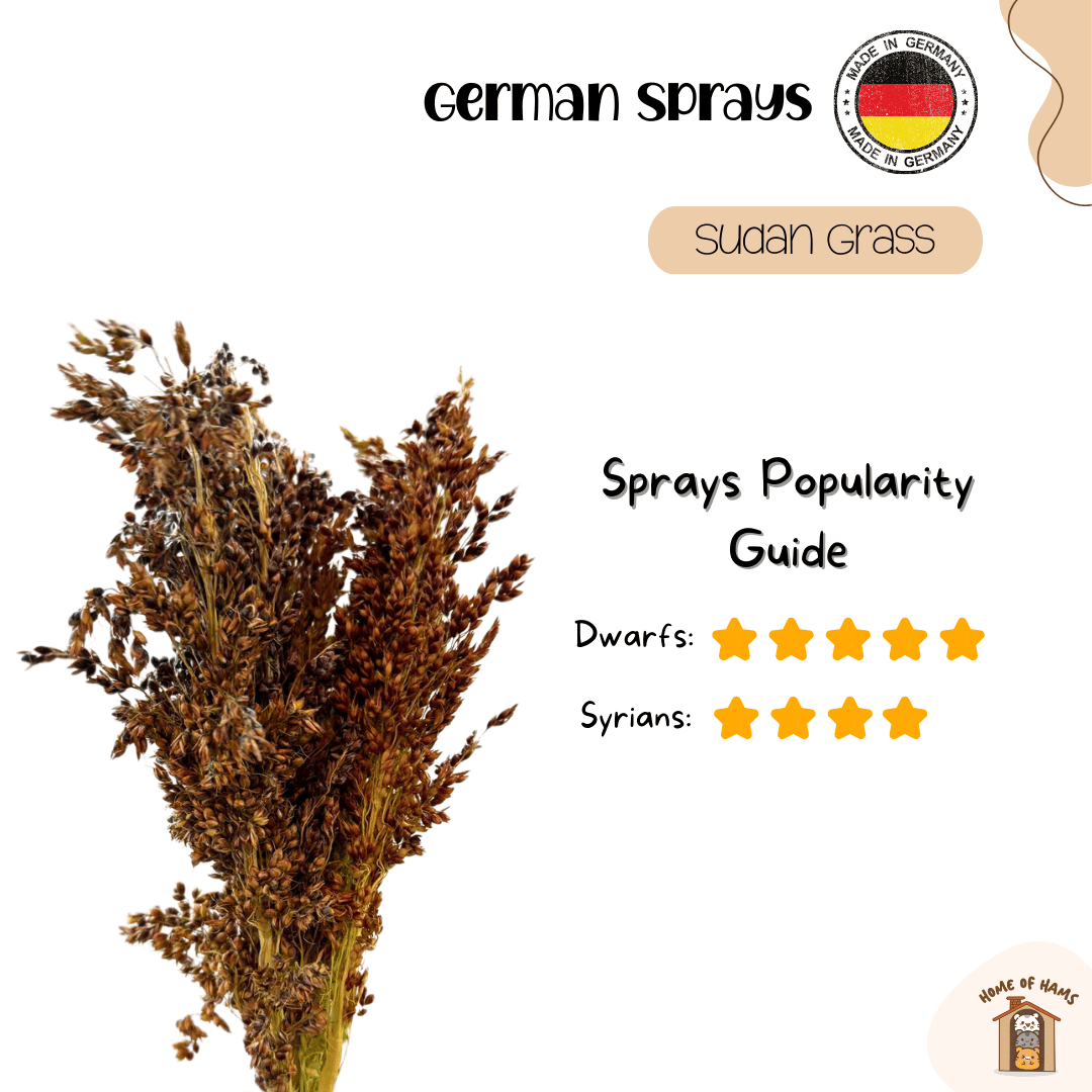 Hope for Animals Event (German Hamster Sprays)