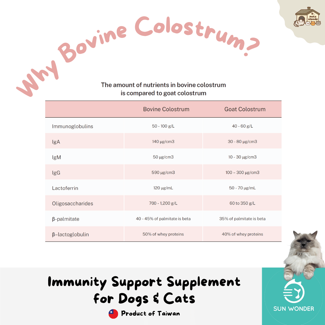 Sun Wonder Immunity Supplement for Cats & Dogs