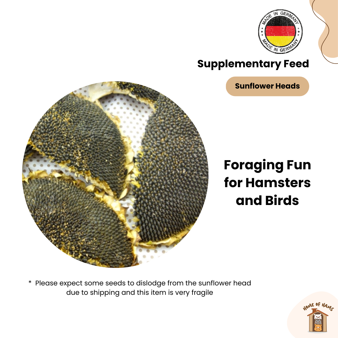 German Sunflower Heads