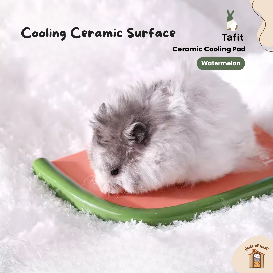 Hamster Cooling Ceramic Pad