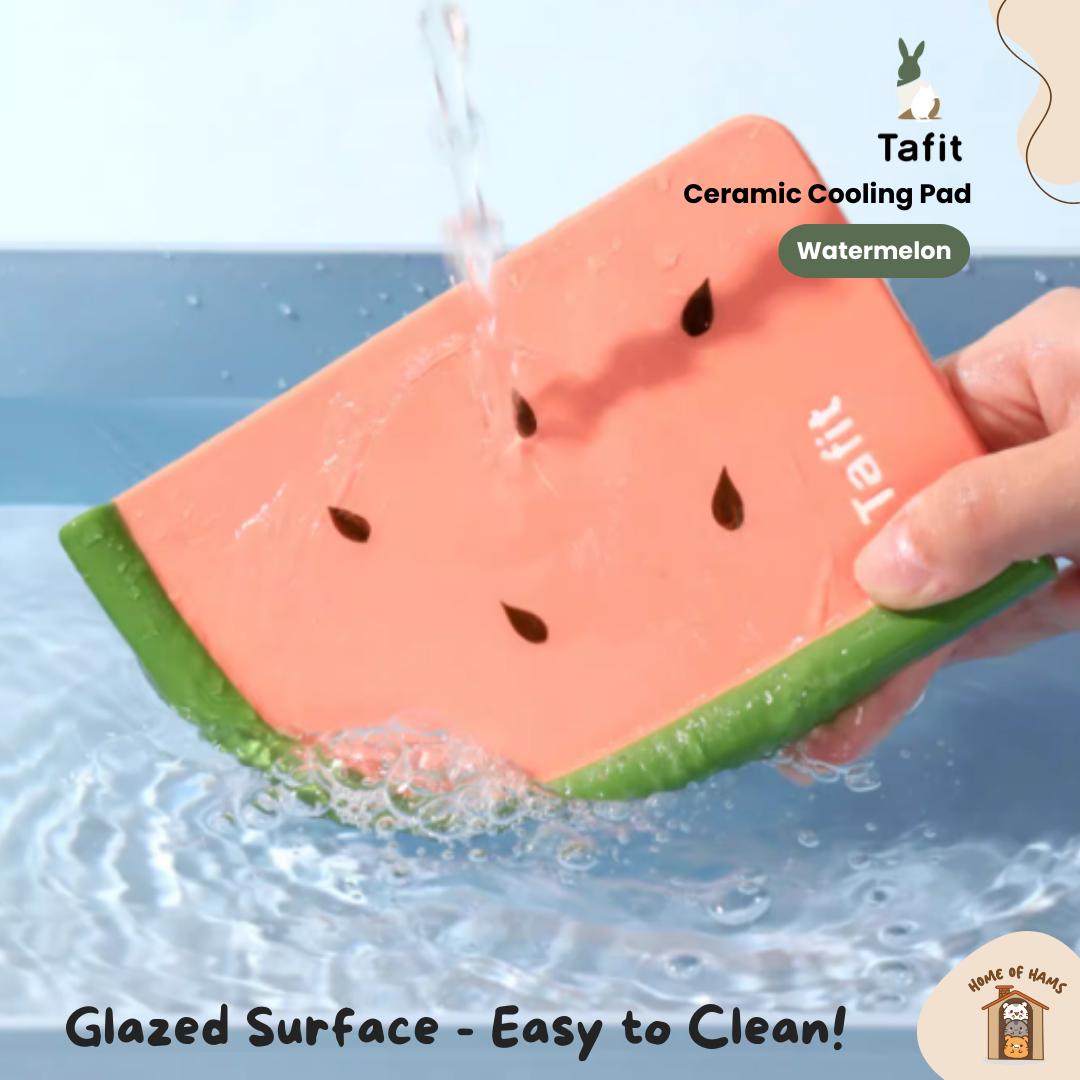 Hamster Cooling Ceramic Pad