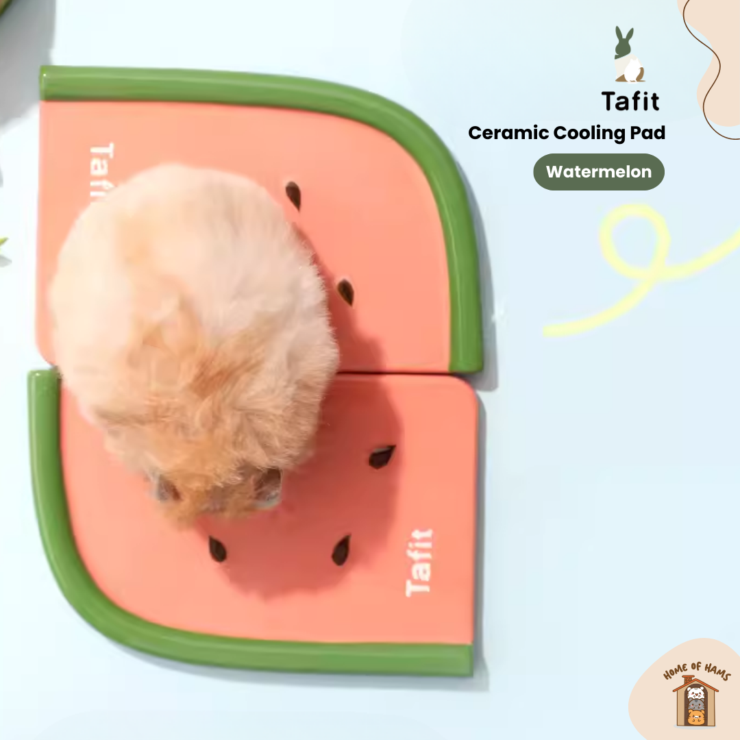 Hamster Cooling Ceramic Pad