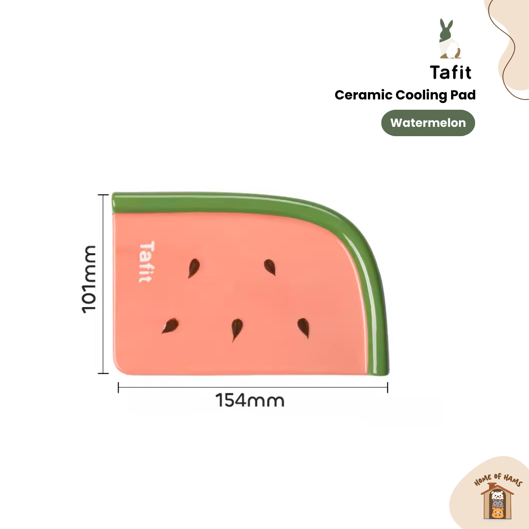 Hamster Cooling Ceramic Pad