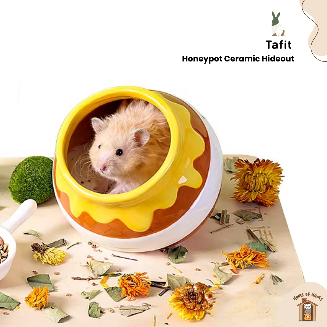 Tafit Honeypot Hideout for Hamsters