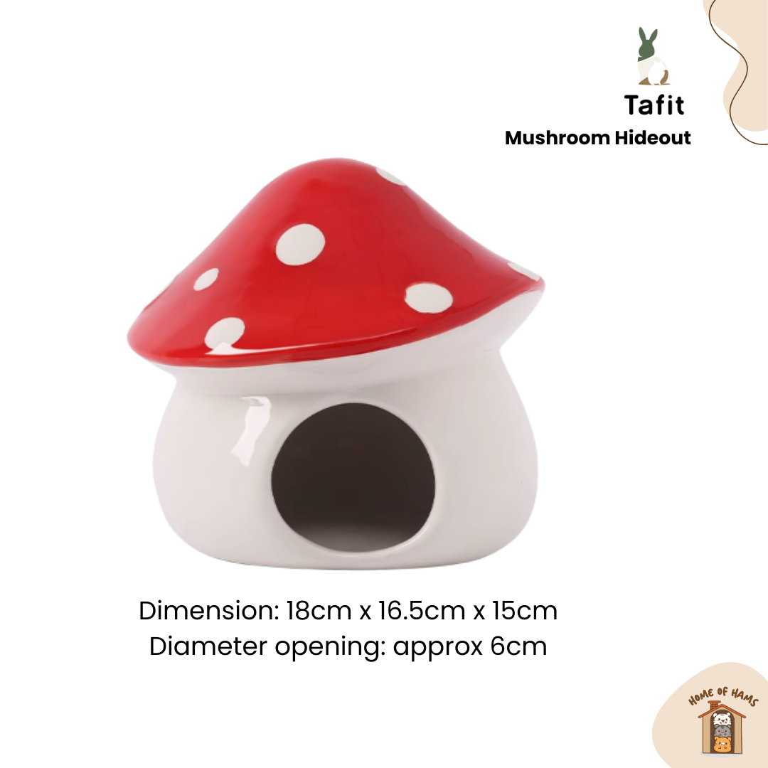 Ceramic Mushroom Hideout