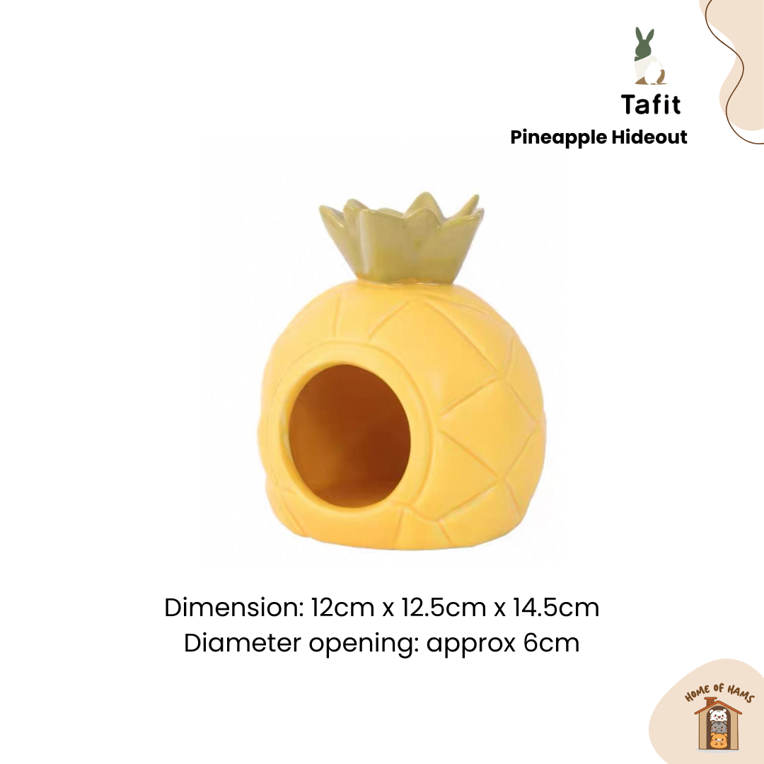 Ceramic Pineapple Hideout