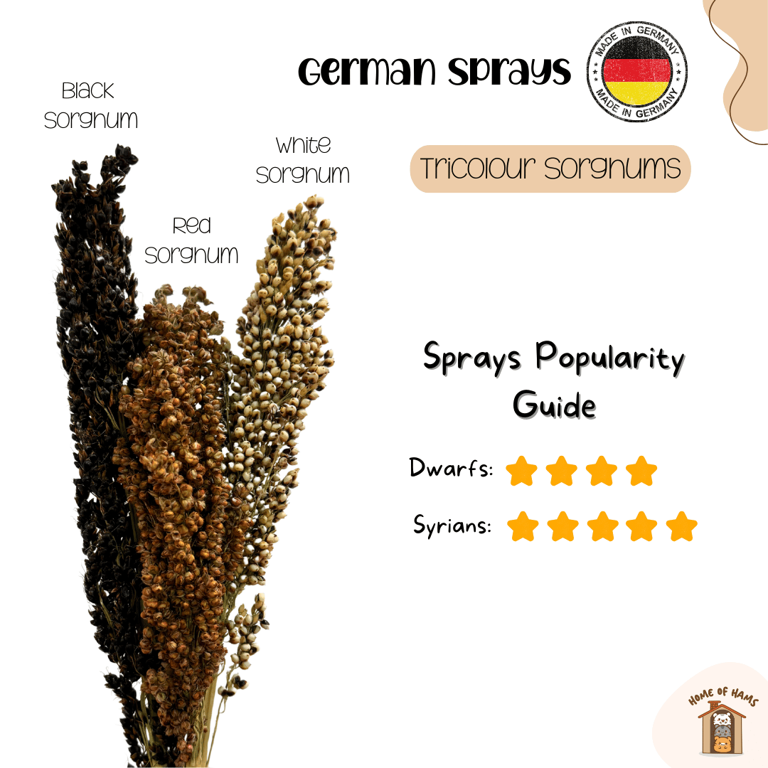 Hope for Animals Event (German Hamster Sprays)