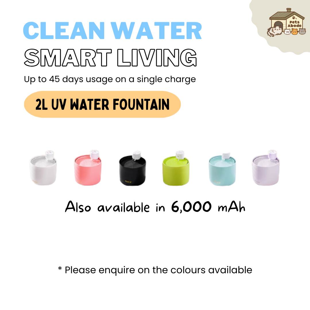 2L UV Wireless Smart Drinking Fountain