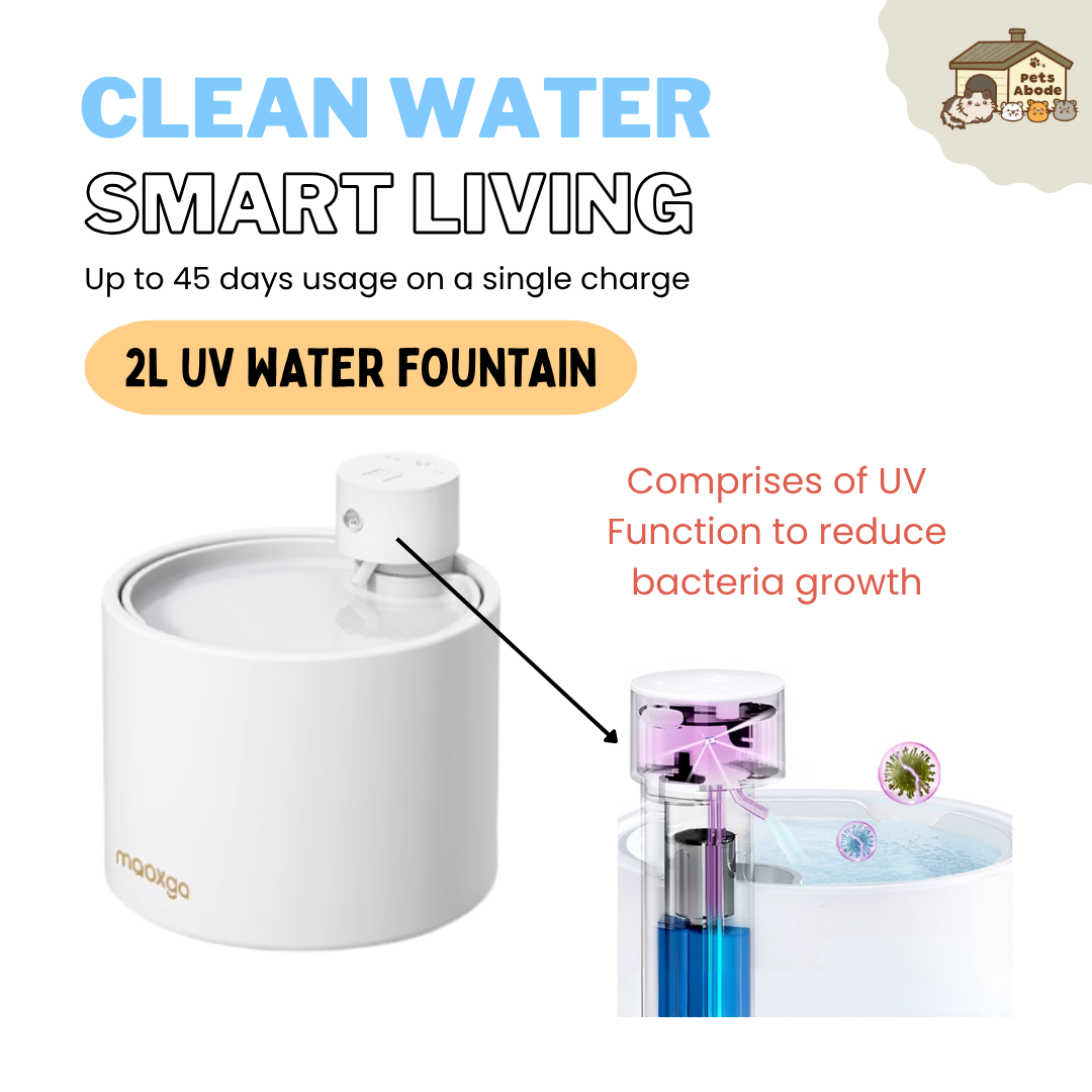 2L UV Wireless Smart Drinking Fountain