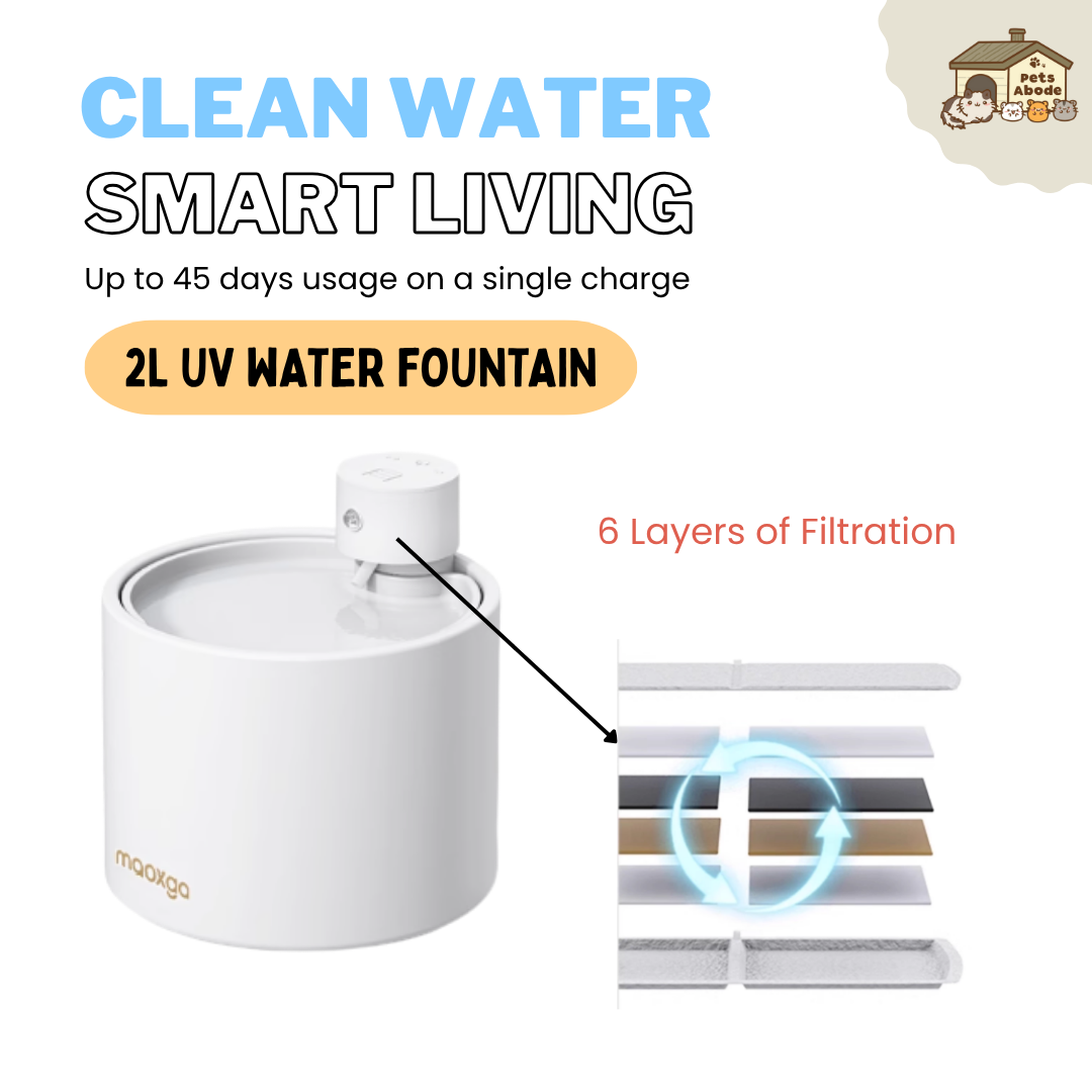 2L UV Wireless Smart Drinking Fountain