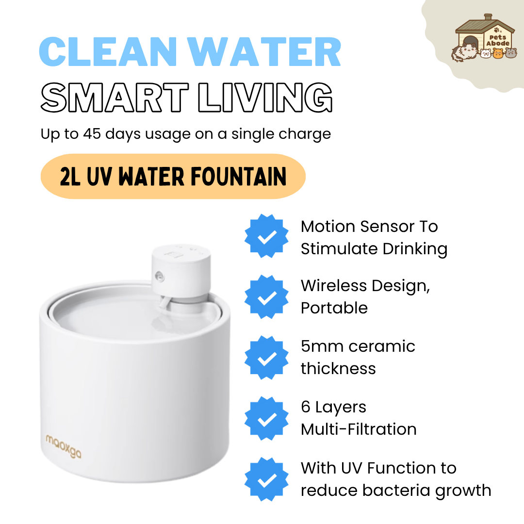 2L UV Wireless Smart Drinking Fountain