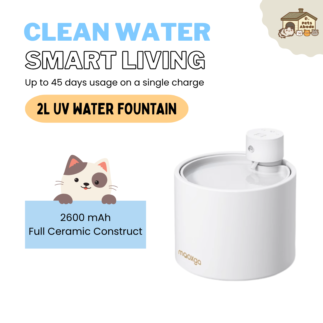 2L UV Wireless Smart Drinking Fountain