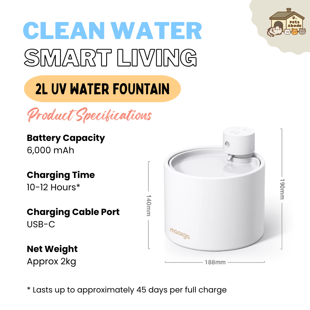 2L UV Wireless Smart Drinking Fountain