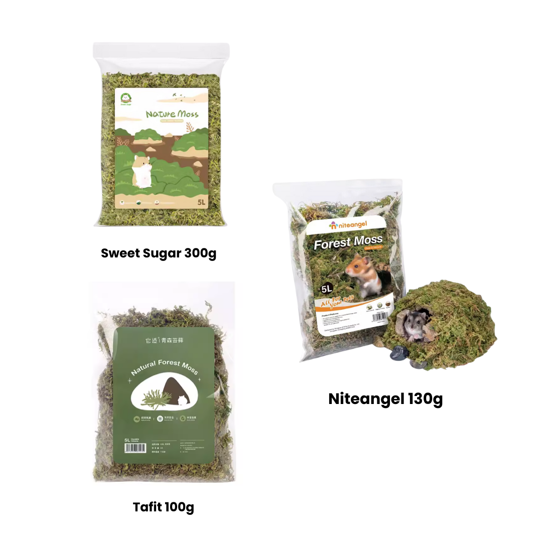 Forest Moss Substrate