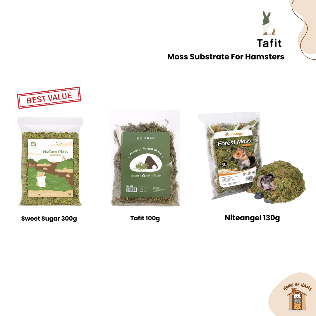 Moss Substrate for Hamsters