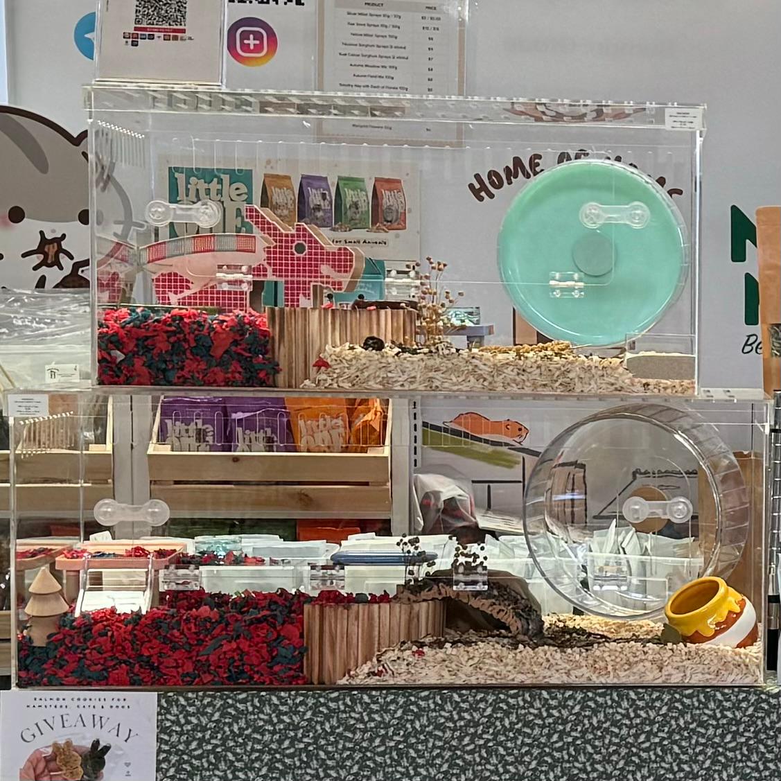 Clear Acrylic Cages for Hamsters