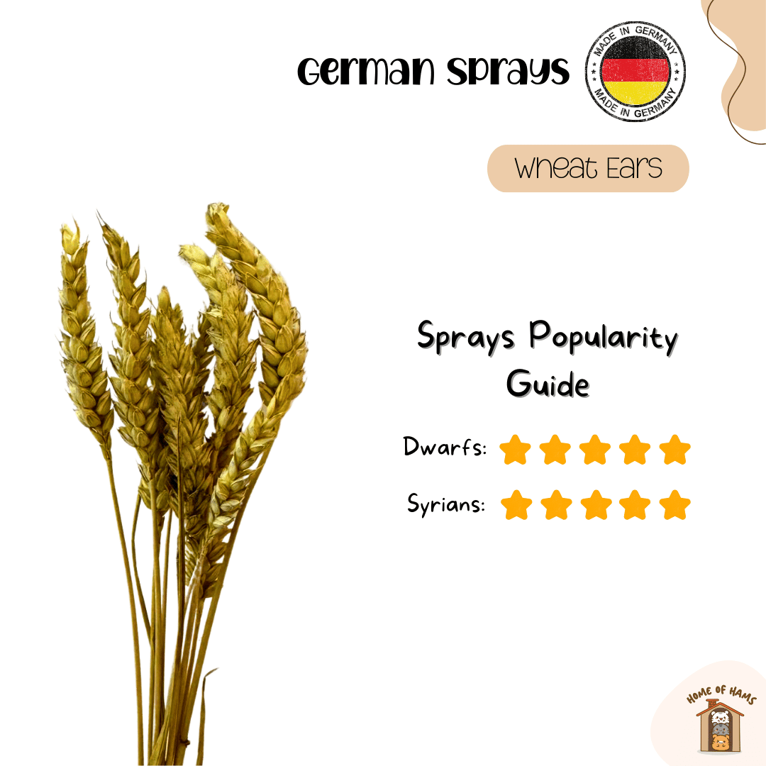 Hope for Animals Event (German Hamster Sprays)