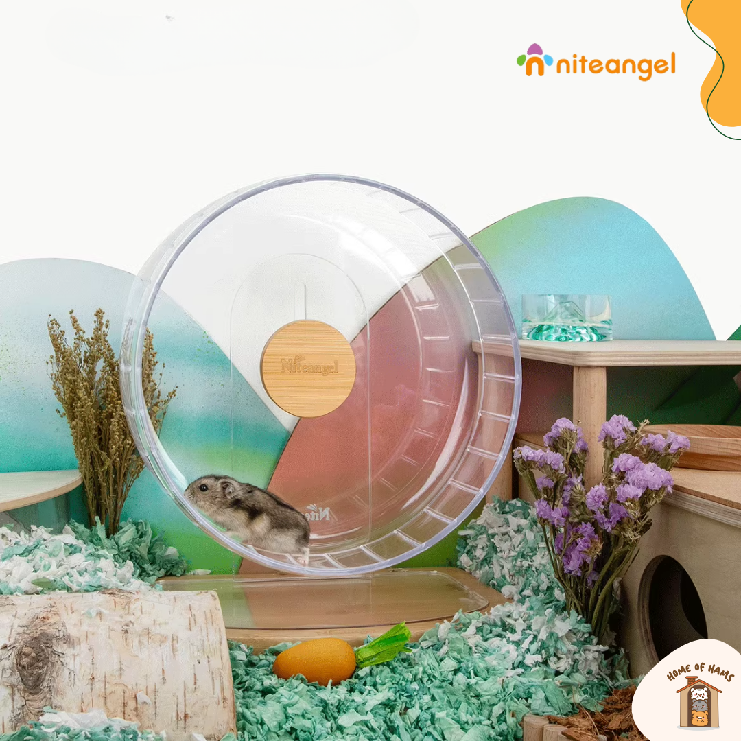 Niteangel Acrylic Running Wheel