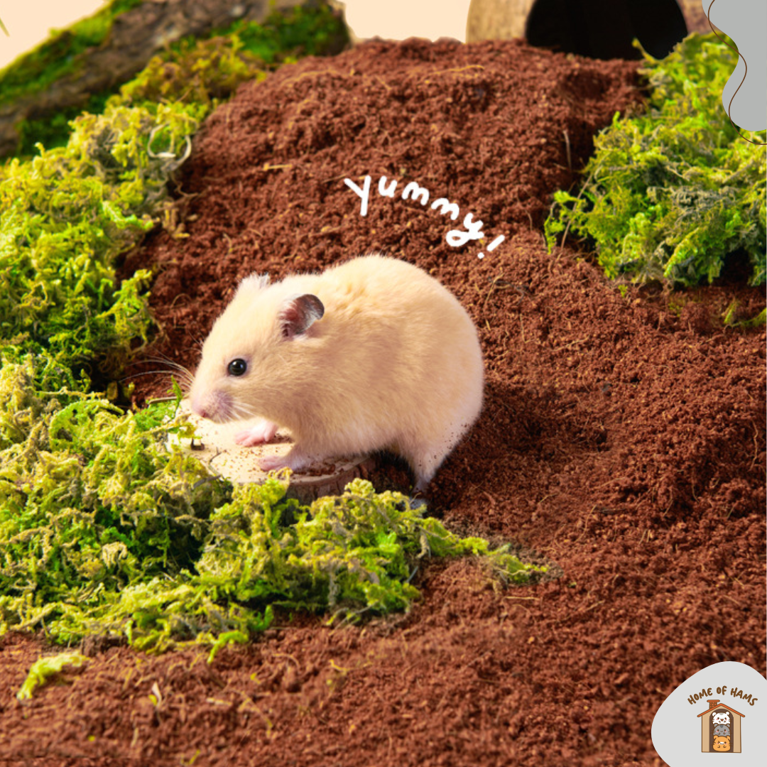 Coconut Soil Digging Substrate for Hamsters