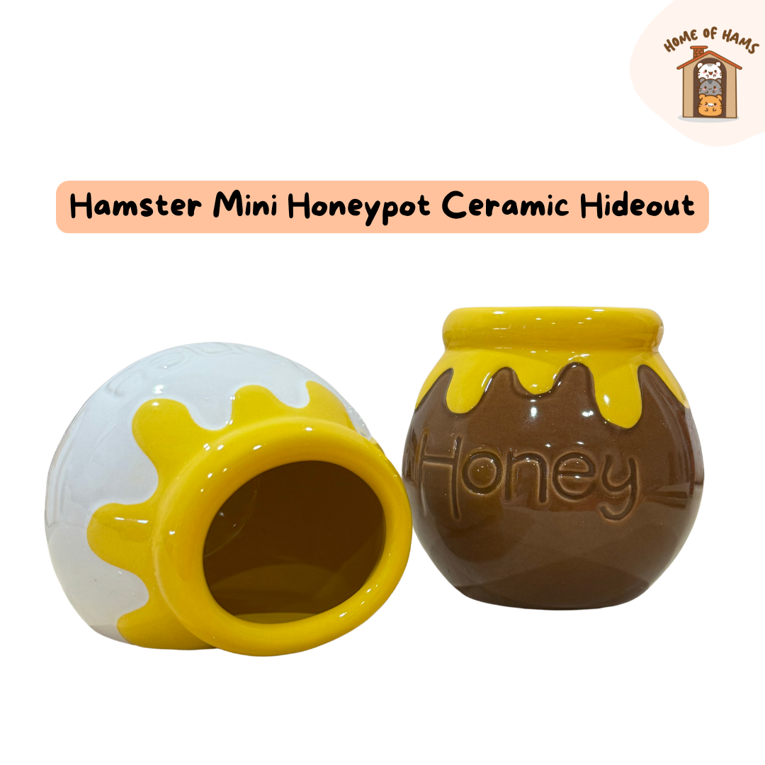 Honeypot Ceramic Hideout for Hamsters