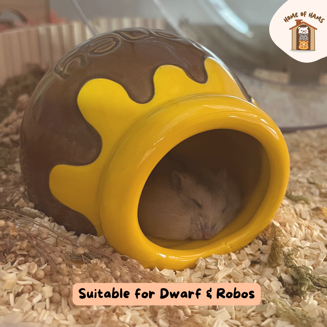 Honeypot Ceramic Hideout for Hamsters