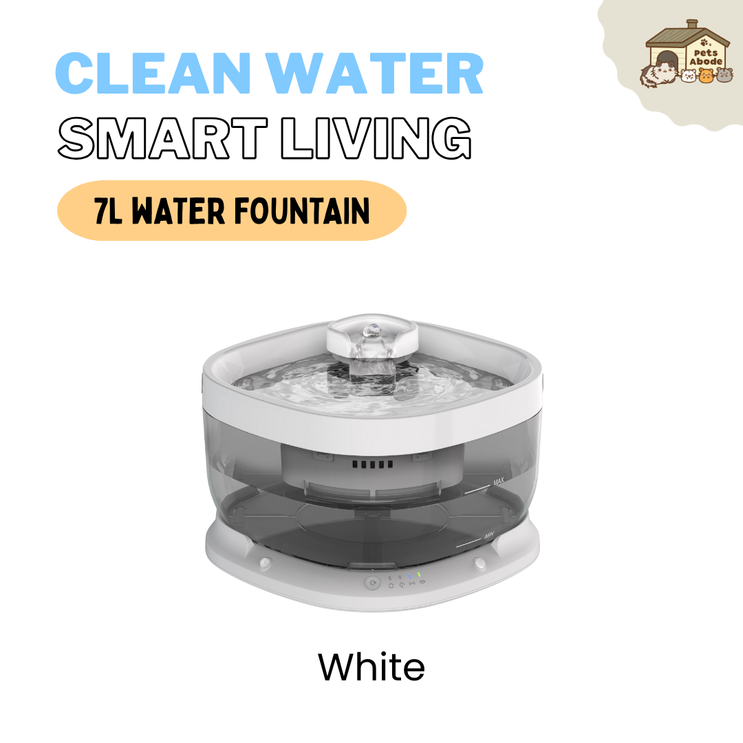 7L Wireless Smart Drinking Fountain