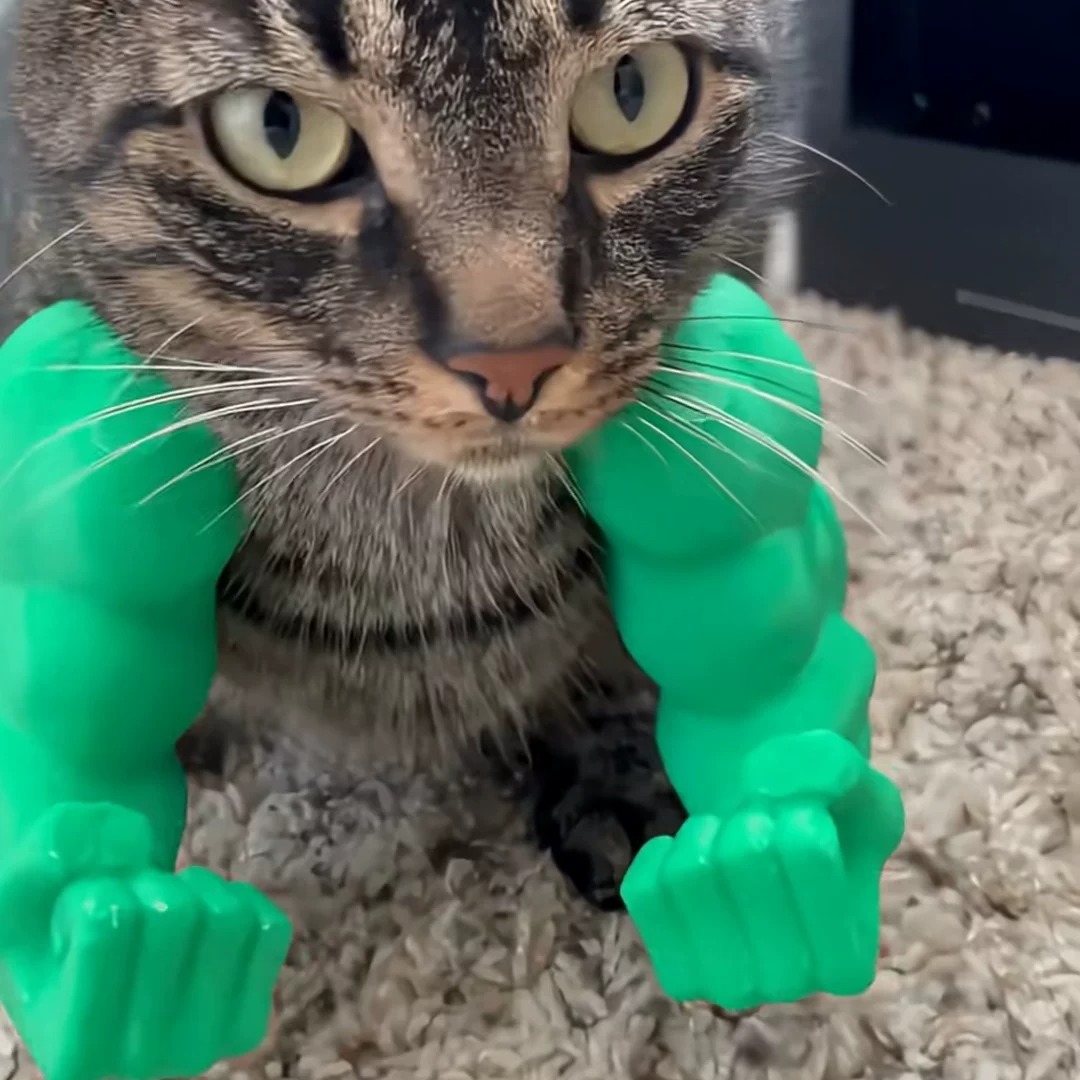 Funny Cat Muscle Arm Costume – Buff Arm Pet Toy & Photo Prop with Multiple Colors, Hilarious Cat Dress-Up Accessory - soufeelmy