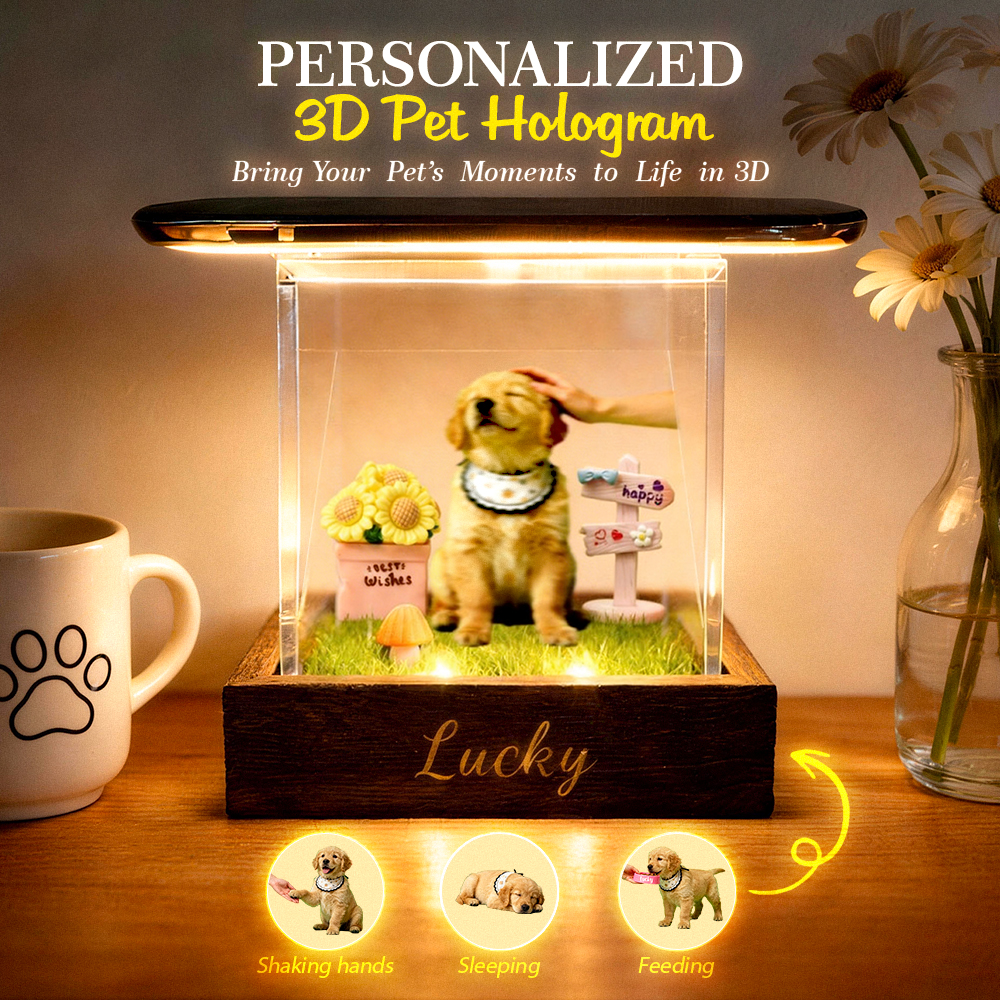 Lumina Boxes Custom Pet Digital Hologram House with Wooden Base - soufeelmy