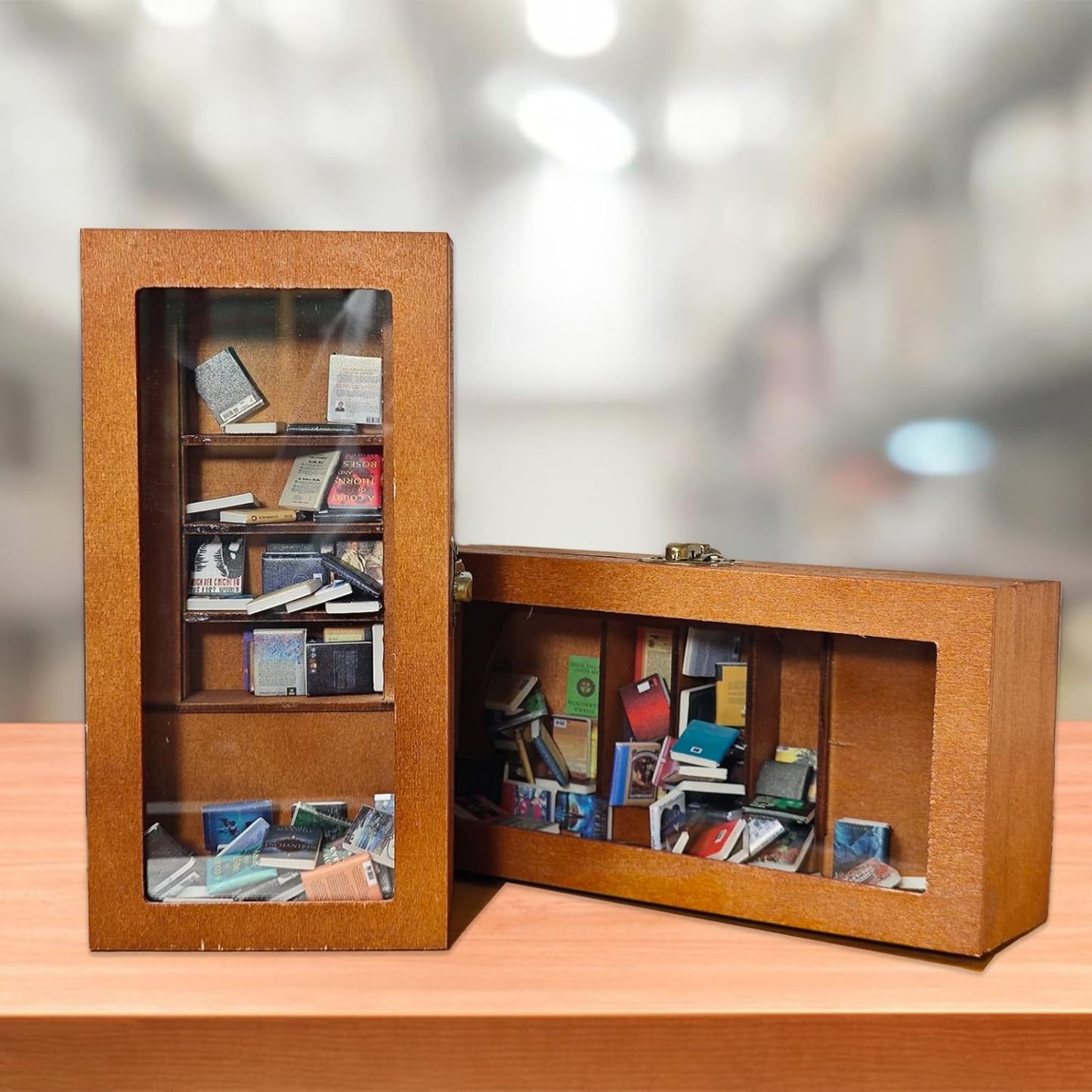 Edition Anxiety Bookcase Book Lover Gift Miniature Bookcase Study Decoration Best Friend Gift Booktok Library - soufeelmy