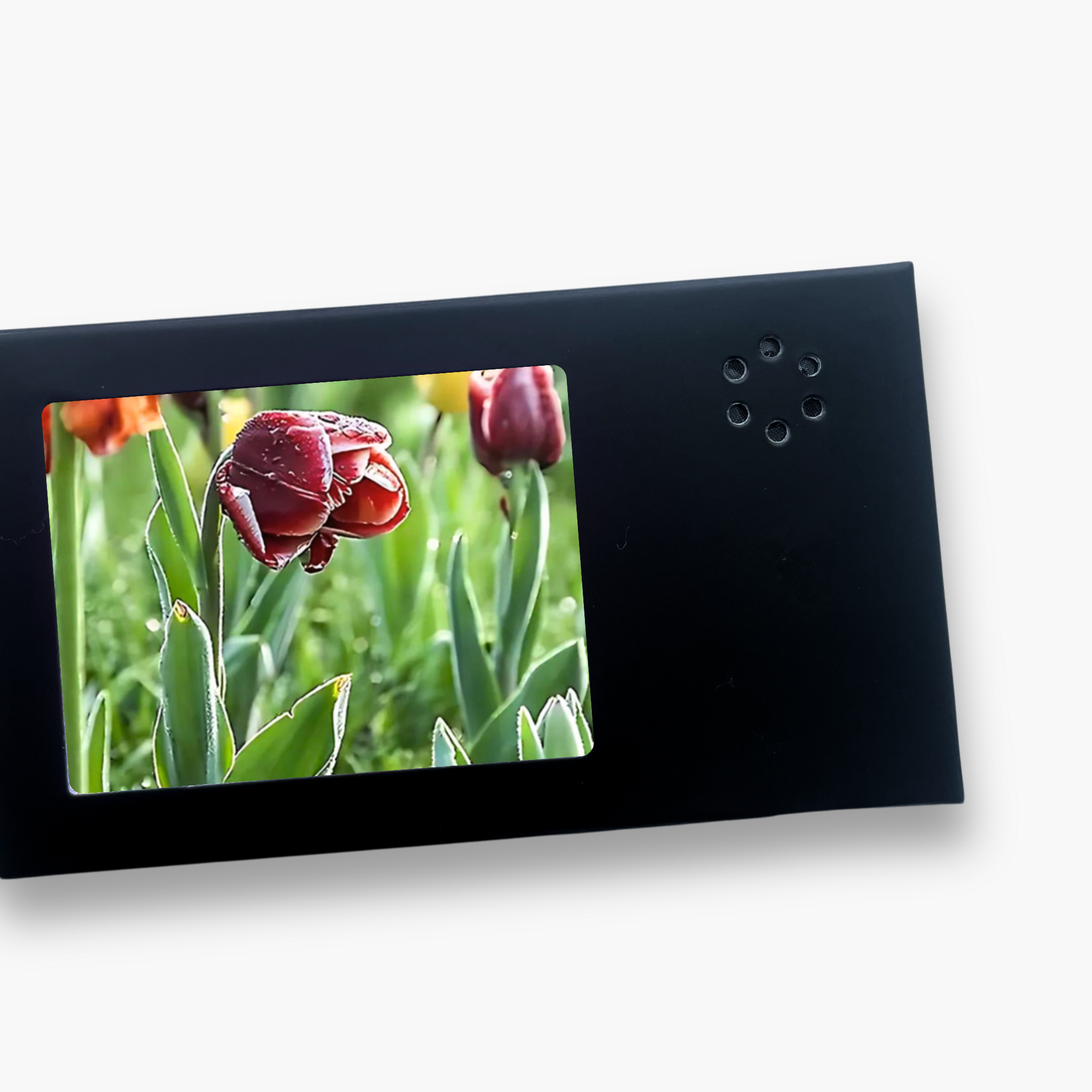 Video Card Gift MP4 Video Player Thank You Gift Card - soufeelmy