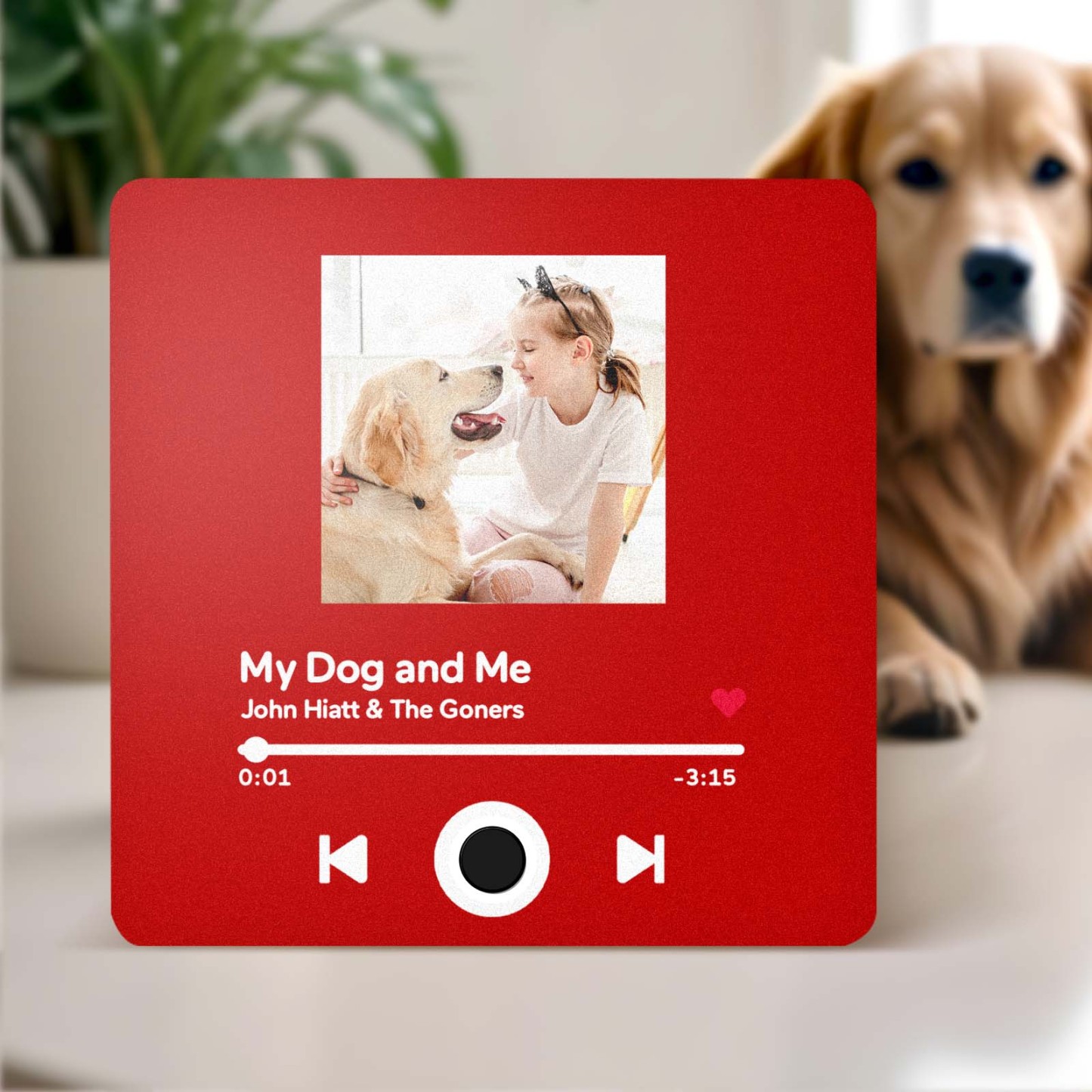 Customized Album Fridge Magnet Personalized Music Fridge Magnet Can Play Songs Gifts For Pet Lovers - soufeelmy