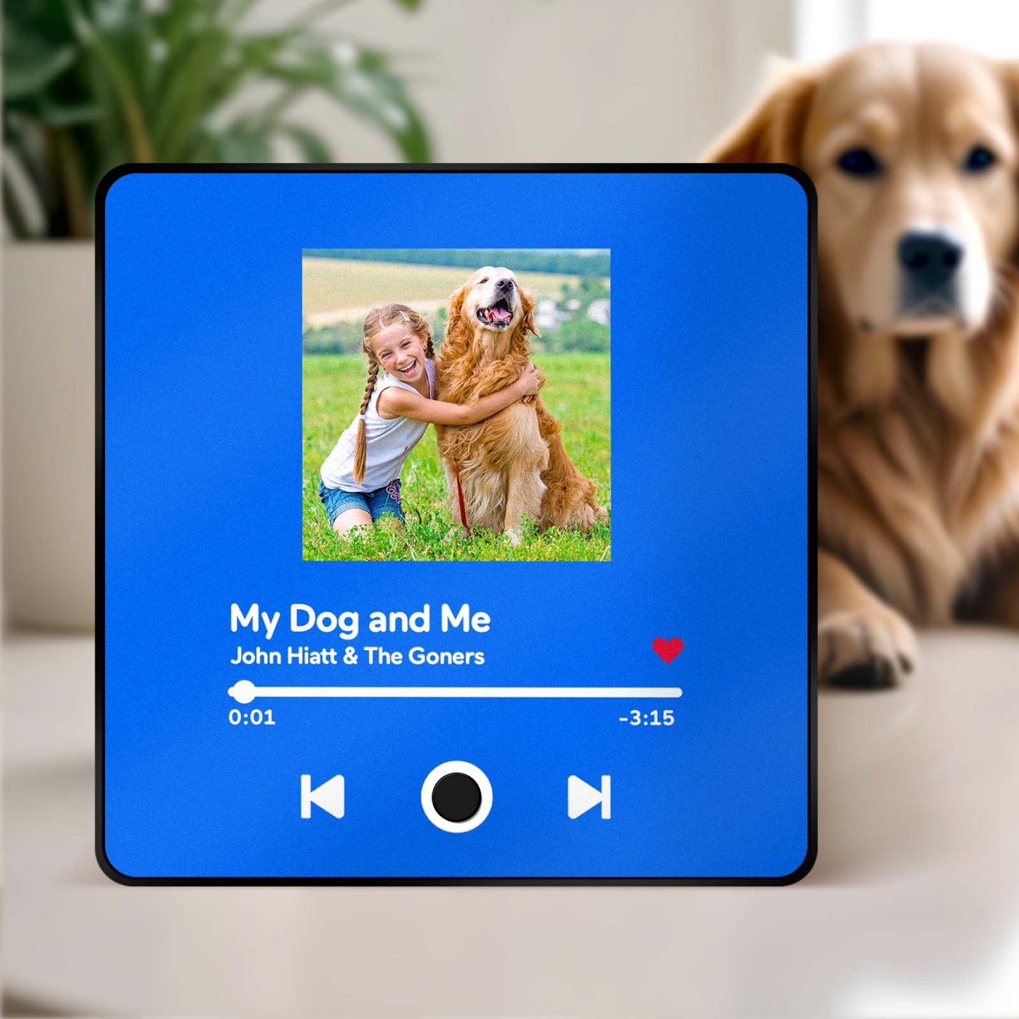 Customized Album Fridge Magnet Personalized Music Fridge Magnet Can Play Songs Gifts For Pet Lovers - soufeelmy