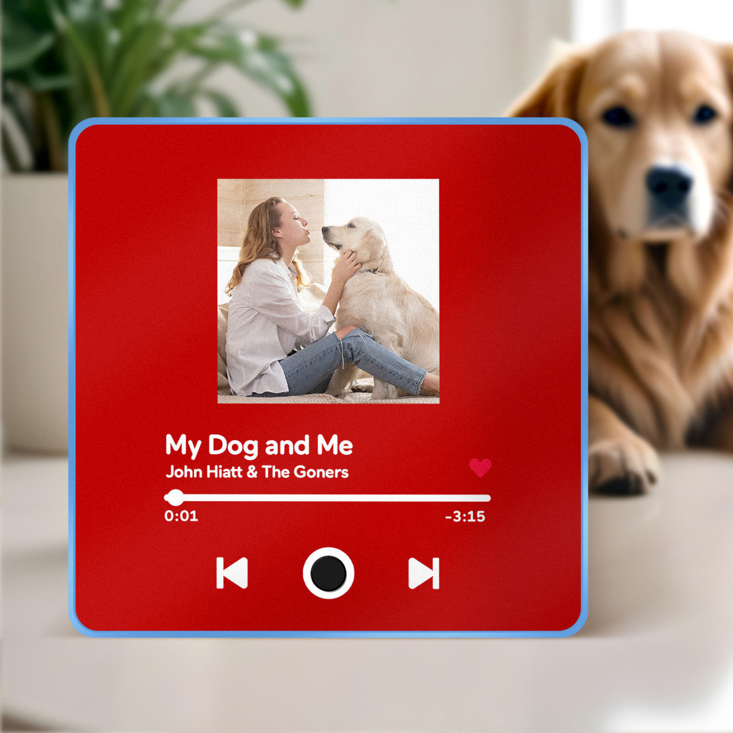 Customized Album Fridge Magnet Personalized Music Fridge Magnet Can Play Songs Gifts For Pet Lovers - soufeelmy