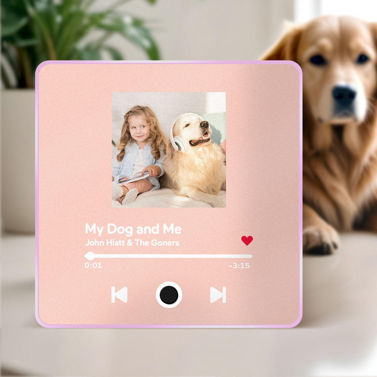 Customized Album Fridge Magnet Personalized Music Fridge Magnet Can Play Songs Gifts For Pet Lovers - soufeelmy