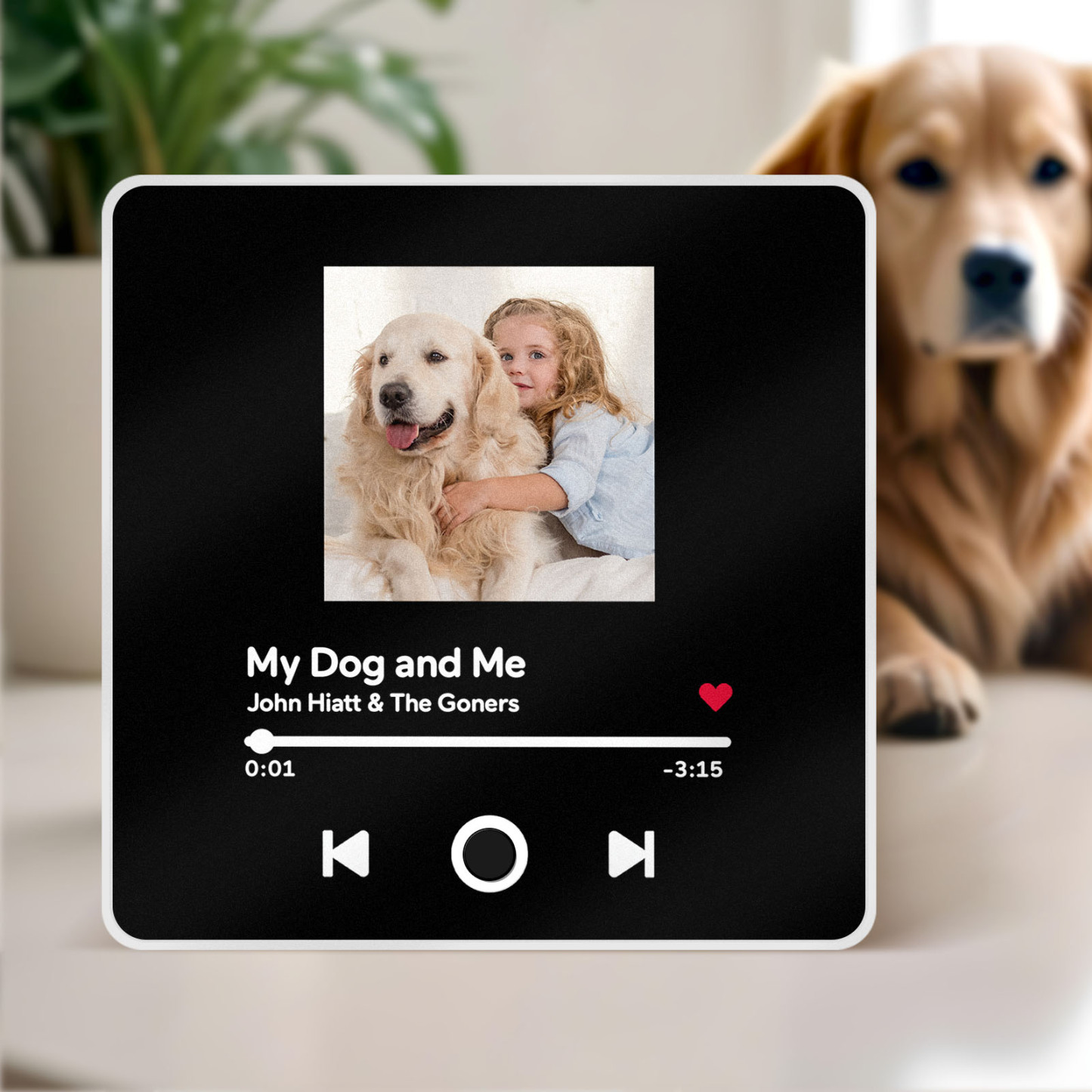 Customized Album Fridge Magnet Personalized Music Fridge Magnet Can Play Songs Gifts For Pet Lovers - soufeelmy