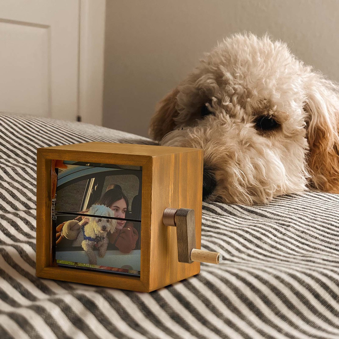 Custom Photo Flipbook Frame Animation Machine Mechanical Hand-cranked Photo Album with Light Unique Gifts for Pet Lovers - soufeelmy