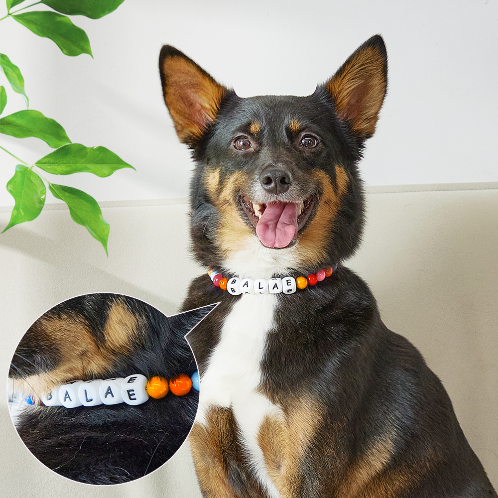 Custom Name Pet Necklace – Colorful Beaded Collar for Your Furry Friend - soufeelmy