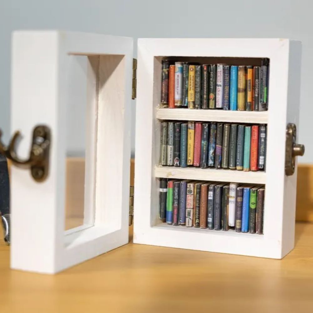 Pocket Edition Anxiety Bookcase, MINI bookcase, Miniature Landscape, Miniature Bookcase, Book Lover Gift, Study Decoration - soufeelmy