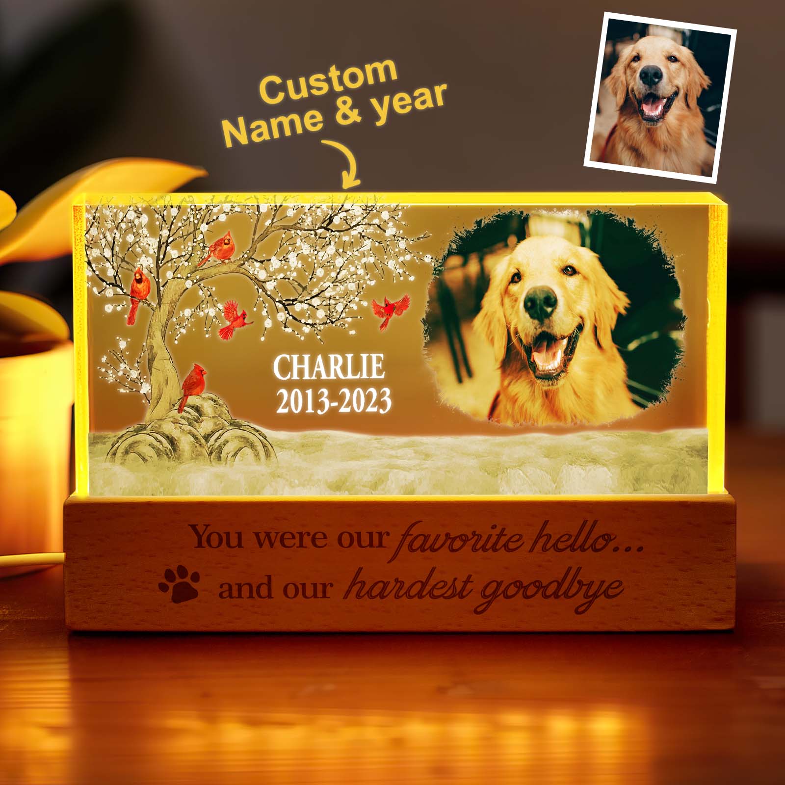 Personalized Pet Photo Night Light Custom Photo Light Memorial Gift for Pet Lover - soufeelmy