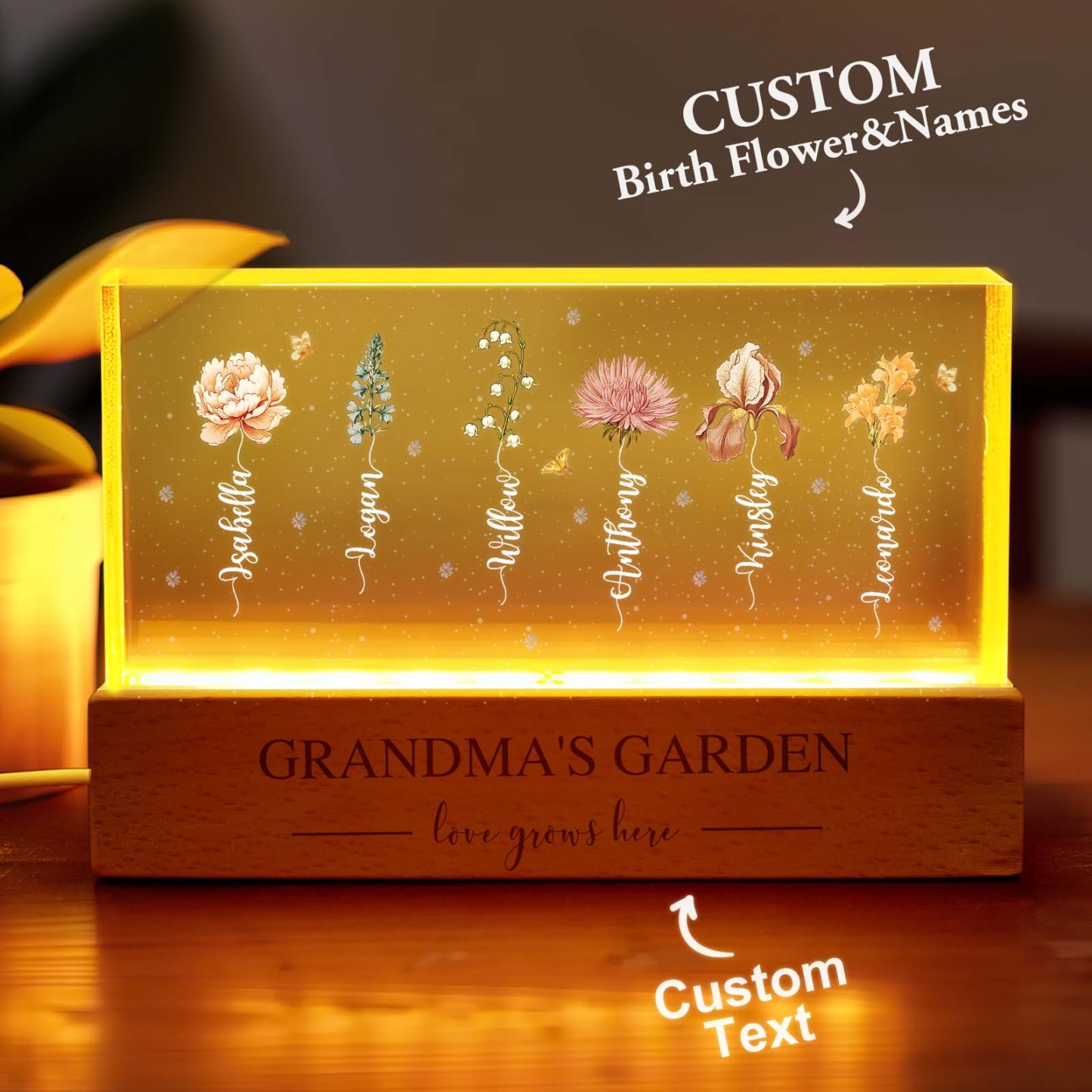 Grandma's Garden Birth Month Flower Personalized LED Night Light, Mother's Day Gift For Grandma Mom, Custom Night Light - soufeelmy