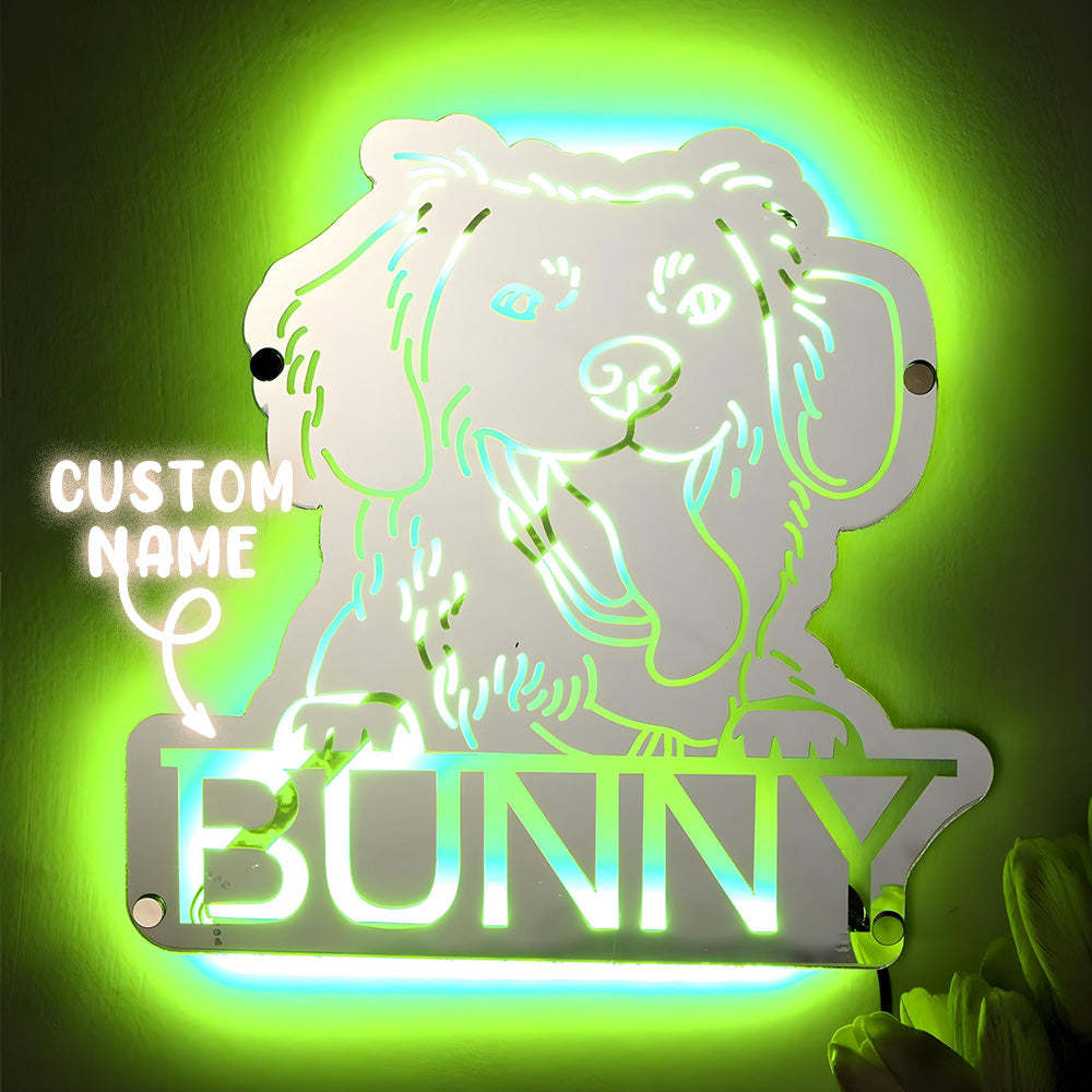 Personalized Pet Photo Name Mirror Light Custom Pet Portrait Mirror Lamp Gift for Pet Lovers - soufeelmy