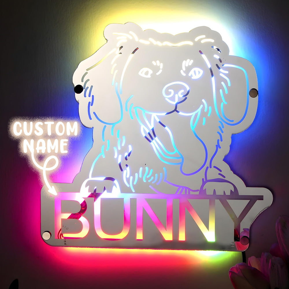 Personalized Pet Photo Name Mirror Light Custom Pet Portrait Mirror Lamp Gift for Pet Lovers - soufeelmy