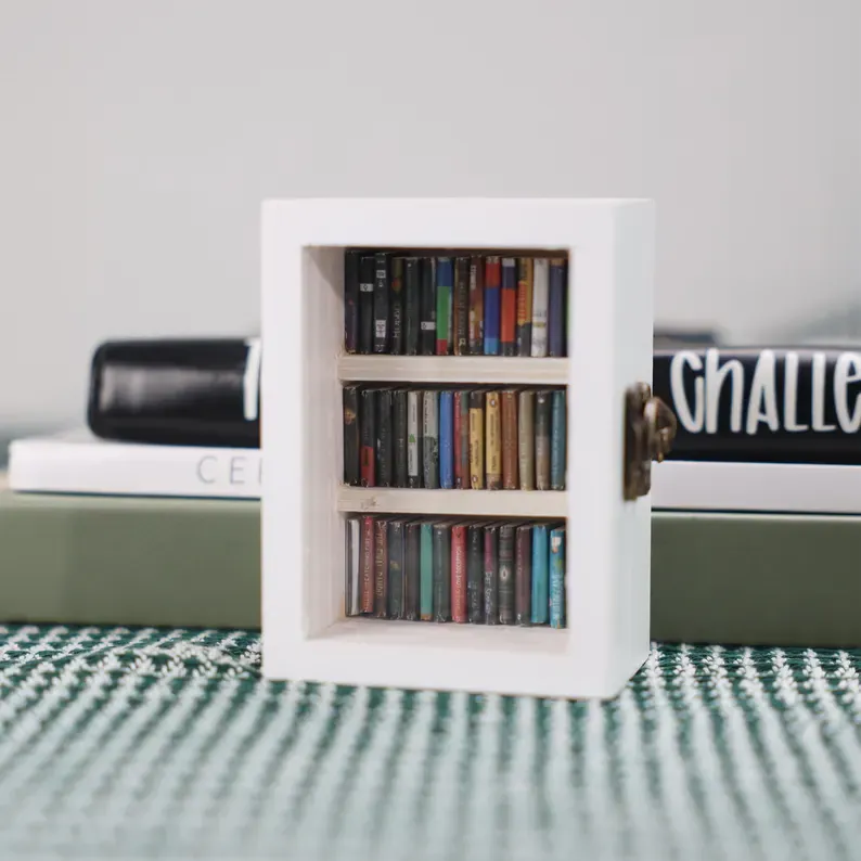 Pocket Edition Anxiety Bookcase, MINI bookcase, Miniature Landscape, Miniature Bookcase, Book Lover Gift, Study Decoration - soufeelmy