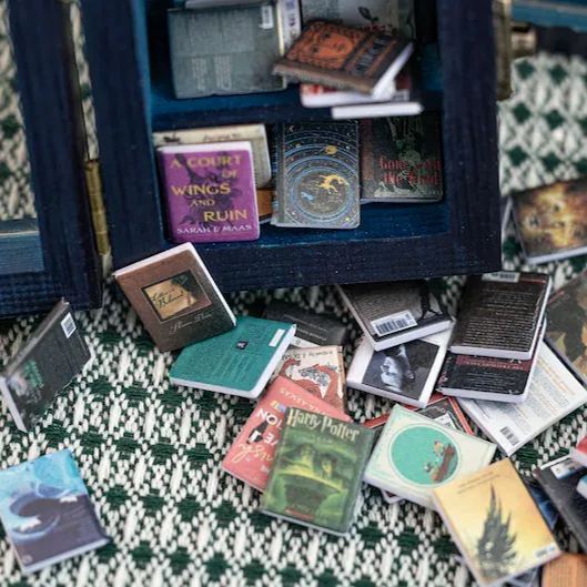 Pocket Edition Anxiety Bookcase, MINI bookcase, Miniature Landscape, Miniature Bookcase, Book Lover Gift, Study Decoration - soufeelmy