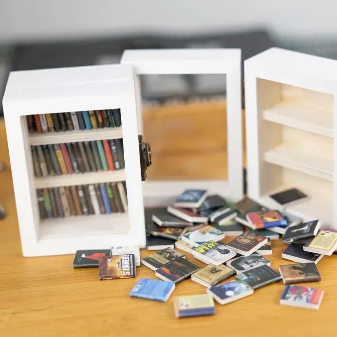 Pocket Edition Anxiety Bookcase, MINI bookcase, Miniature Landscape, Miniature Bookcase, Book Lover Gift, Study Decoration - soufeelmy