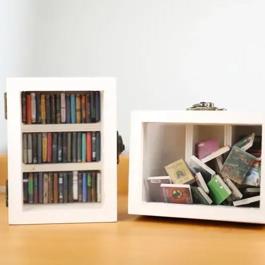 Pocket Edition Anxiety Bookcase, MINI bookcase, Miniature Landscape, Miniature Bookcase, Book Lover Gift, Study Decoration - soufeelmy